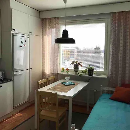 Grandma Nostalgic With Sauna טורניו